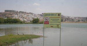 ELIMINAN LIRIO EN EL BORDO BENITO JUÁREZ