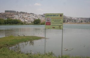 ELIMINAN LIRIO EN EL BORDO BENITO JUÁREZ
