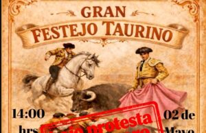 Buscan frenar corrida de toros en Amealco