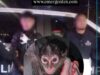 Detenidos por tener un mono araña en Juriquilla