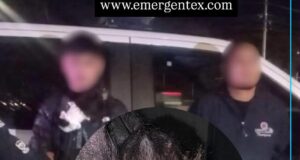 Detenidos por tener un mono araña en Juriquilla