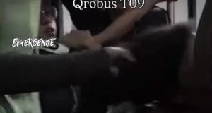 Lady mordidas, suelta mordida a menor en camión Qrobus