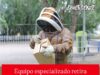 Equipo especializado recupera enjambre de abejas en el Parque para perros Epigmenio González