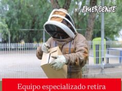 Equipo especializado recupera enjambre de abejas en el Parque para perros Epigmenio González