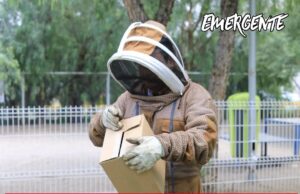 Equipo especializado recupera enjambre de abejas en el Parque para perros Epigmenio González