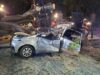 Cae Árbol gigante y provoca la muerte de un hombre en la Alameda de Querétaro