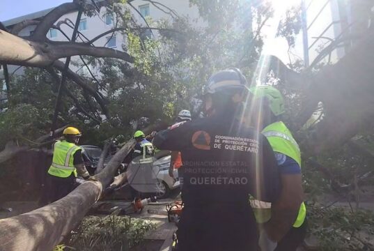 Dan de alta a niña lesionada por caída de árbol en la Alameda de Querétaro