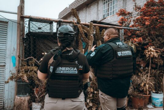 Cateos en Casa Blanca por delitos contra la Salud