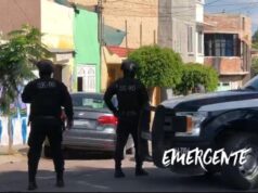 Cateos por narcomenudeo en la colonia Insurgentes