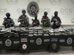HALLAN 69 KILOS DE MARIHUANA ENTRE MALEZA