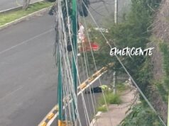 Fallece adulto mayor tras ser atropellado en Desarrollo San Pablo