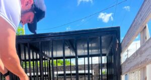 Rescatan a canino en situación de maltrato tras denuncia ciudadana en San Juan del Río