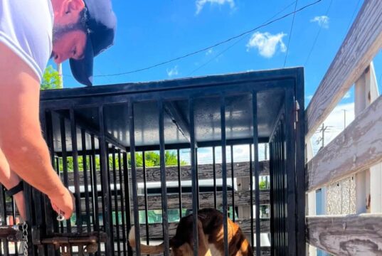 Rescatan a canino en situación de maltrato tras denuncia ciudadana en San Juan del Río