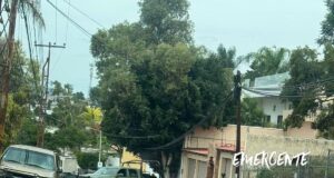 Cateos de la Fiscalia en Juriquilla