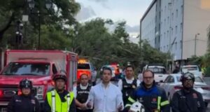 Atiende municipio de Querétaro caída de árbol en la Alameda