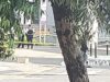 Localizan a una persona sin vida bajo puente de La Obrera