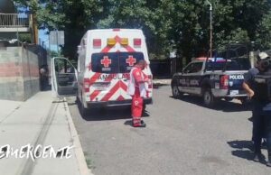 Niña de 11 años resulta lesionada tras ataque de perros en La Rueda