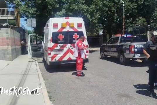 Niña de 11 años resulta lesionada tras ataque de perros en La Rueda