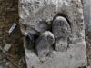 La tumba de concreto, historias de criminología