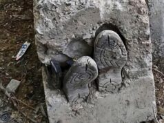 La tumba de concreto, historias de criminología