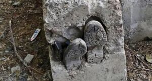 La tumba de concreto, historias de criminología