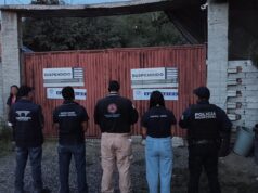 Municipio de Querétaro suspende pensión de perros por irregularidades; aseguran a 28 ejemplares