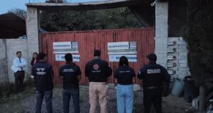 Municipio de Querétaro suspende pensión de perros por irregularidades; aseguran a 28 ejemplares