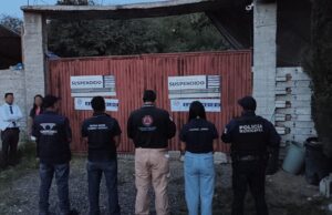 Municipio de Querétaro suspende pensión de perros por irregularidades; aseguran a 28 ejemplares