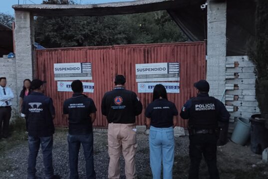 Municipio de Querétaro suspende pensión de perros por irregularidades; aseguran a 28 ejemplares